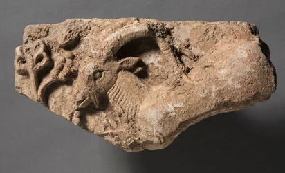 Ibex Eating