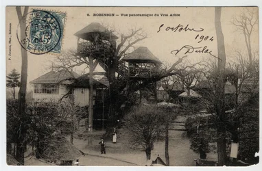 Ile de France, Hauts de Seine (92), Le Plessis Robinson: panoramic view of the True Arbre, a guinguette installed at the top of a chestnut - Postcard dated 1904