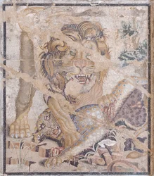 Lion and Leopard