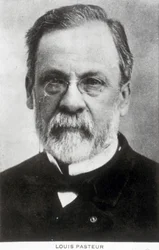 Louis Pasteur, French chemist and microbiologist, c 1885