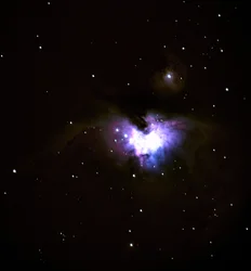 M42