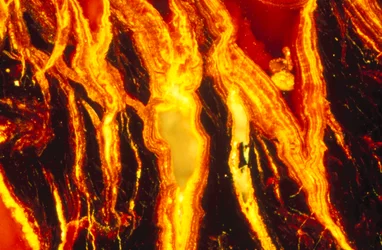 Metals, Minerals, Ferrous, LM Iron oxide