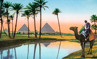 Man on a Camel Viewing the Pyramids of Gizeh