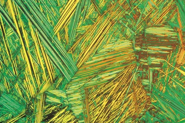 Micrographs (Light) Aluminium bronze, light micrograph