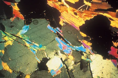 Micrographs (Light) Sandstone, light micrograph