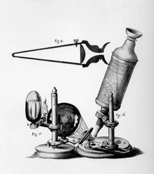 Microscopy