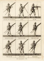 Military exercises of musketeers