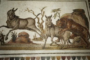 Mosaic of Animal Fighting: Tiger Assaulting Two Night-Primagres