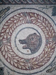 Mosaic of the peristyle. Detail representing a bear
