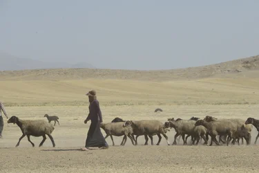 Nomadic tents between Tamar and Ashkhaneh, Iran 2022