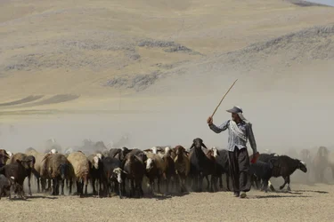 Nomadic tents between Tamar and Ashkhaneh, Iran 2022