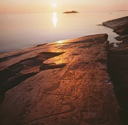 Onego Petroglyphs Depicting Swans