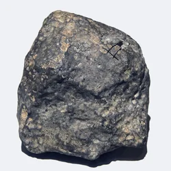Ordinary chondrite (L/LL5). Fell in Ukraine in 1866. National Museum of Natural History, Paris.