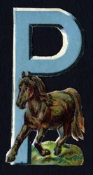 P like Pony. Beetle decoupis on the theme of animals. Engraving. Series of 26 waffle chromolithographs of English origin. End of the 19th century