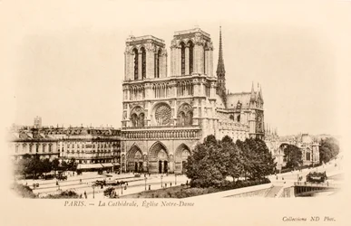 Postcard/Notre Dame/Paris/Seine/Ile de France/France