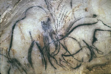 Prehistoric Cave of Pech Merle, Chapel of the Mammoths, 25,000 Years, Cabrerets, Lot, Midi Pyrenees, France