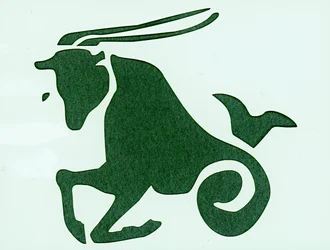 Sign of the Zodiac: Capricorn