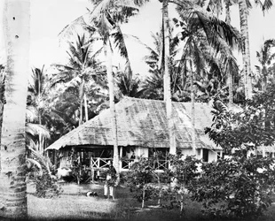 Singapore: A Private Bungalow Surrounded By Palm Trees, Singapore, c1875