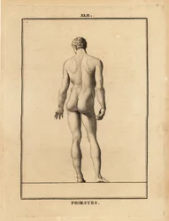 Statue of Orestes, son of Agamemnon in Greek mythology