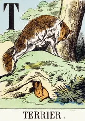 T: Terrier - The Hunting Alphabet, c.1890