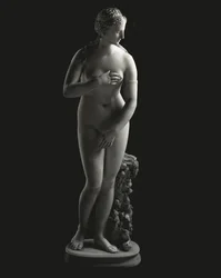 The Jenkins Venus