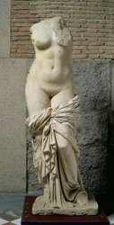 The Sinuessa Aphrodite