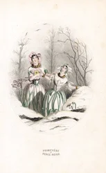 The fairies pierce snow and primrose in a snowy landscape - Etching by Charles Geoffroy, based on an illustration by Jean Ignace Isidore Gerard for Les fleurs animees