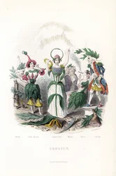 The flower fairies, that of the olive, sleeping in a cotton cap, the night beauty, the immortelle with a crown and a snake aureole, the myrtle in an old man, the tobacco smoking the cigar and the laurel in an old musketeer - Etching by Charles Geoffroy