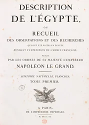 Title Page
