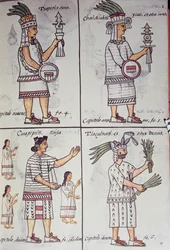Tzapotlatena, Chalchiuhtlatonal, Cioapipitli and Tliltecuhtli, Florentine Codex, General History of the Things of New Spain, Aztec