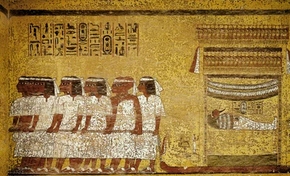 Unknown Image