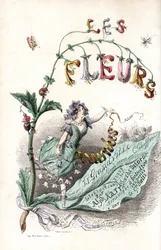 A flower fairy sits on a leaf and holds a ribbon (title page) - Etching by Charles Geoffroy, after an illustration by Jean Ignace Isidore Gerard for Les fleurs animees