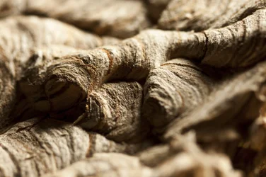 Wasp Nest II