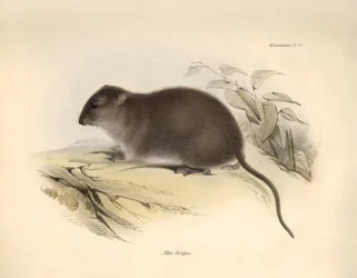 Zoology: The 