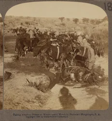 Watering Artillery horses, Welgelegen, South Africa