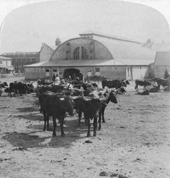 Building in Which Prisoners of War Were Tried, Pretoria, South Africa, Boer War