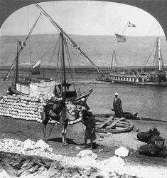 Dahabiyehs on the river ready for a Nile voyage, Egypt, 1905