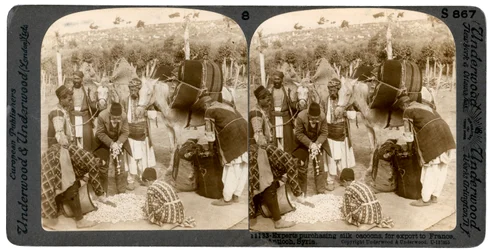 Experts purchasing silk cocoons, for export to France, Antioch, Syria