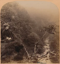 I grant him brave, but wild as Bracklinns thundering wave - Scotts Lady of the Lake