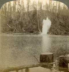 Log Flume, Oregon, USA
