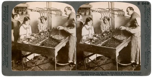 Manufacturing Silk, Syria
