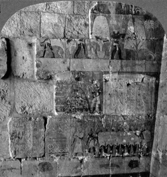Queen Makeres Expedition to East Africa - Reliefs Carved at Der-el-Bahri, Thebes, Egypt