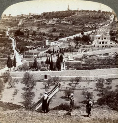 The Garden of Gethsemane and the Mount of Olives, Palestine
