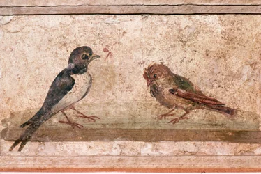 Swallow and Sparrow, Roman wall painting from Boscoreale near Pompeii, 1st century