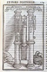 A Phagotus (Phagotum). Page from Introductio by Theseus Ambrosius Albonesius