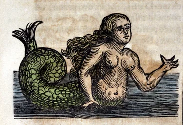 A Siren, legendary figure - engraving from a work by Athanasius Kircher (1601 - 1680), Jesuit, orientalist and German scholar