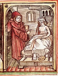 A physician gives his patient a treatment made with medicinal plants. Engraving from “Tractatus de pestilentia”, 15th century - Prague, National Library