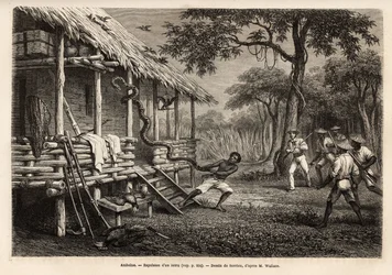 A python entered the space of the traveler and narrator, while all present people kept their distance to protect themselves; the snake was expelled by one of the servants who, after failing with the lasso, grabbed it by the tail. Engraving to illustrate