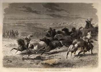 A rodeo in Lauramarca (Lower Peru), the capture of wild horses, before their iron marking with the initials of the owner of the region, considered as a complete spectacle, many onlookers gathered. Engraving to illustrate the voyage in the valleys of Quinqu