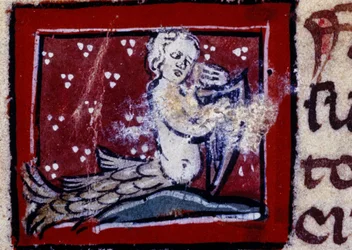 A Siren - Bestiary of the 14th Century. Milan, Biblioteca Trivulziana